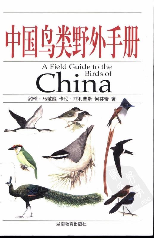 中国鸟类野外手册