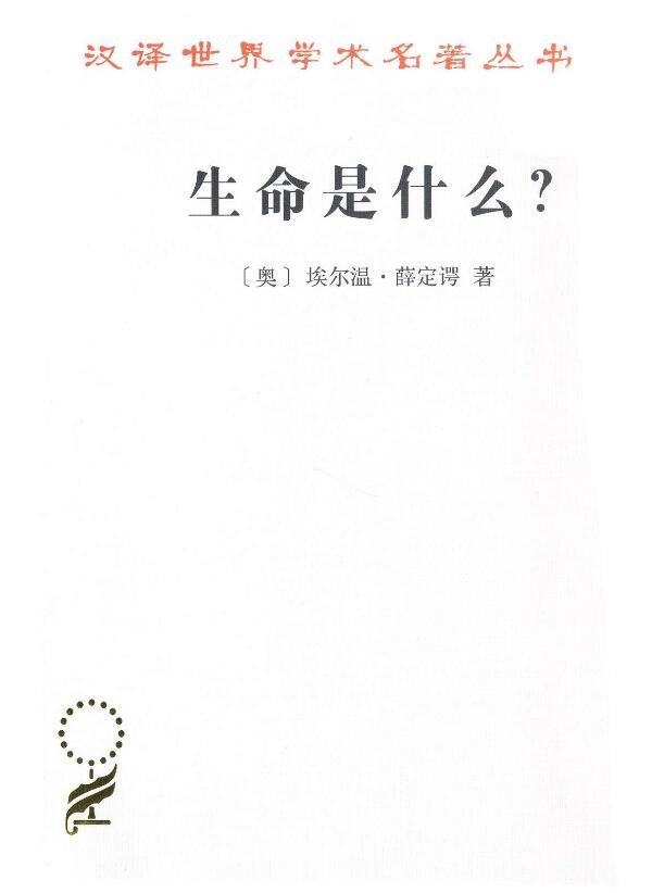 生命是什么